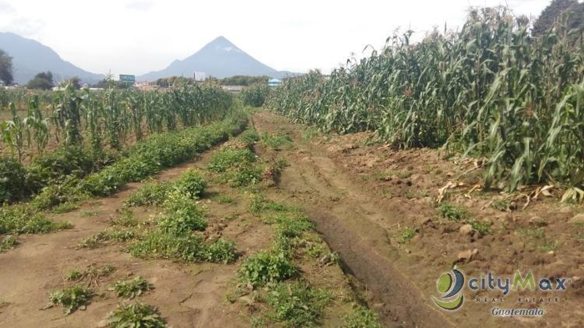 TERRENO de 75 cuerdas en VENTA en Quetzaltenango - Miniatura 9