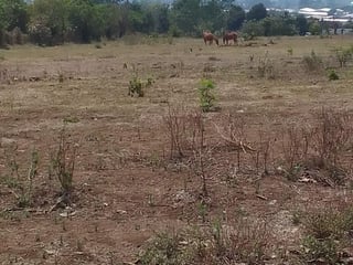 ¡Terreno en Bárcenas, Villa Nueva, ideal para desarrollo! - 2