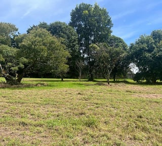 TERRENO EN VENTA EN CONDOMINIO KM 16.5 CARRETERA EL SALVADOR VCAMINO A OLMECA