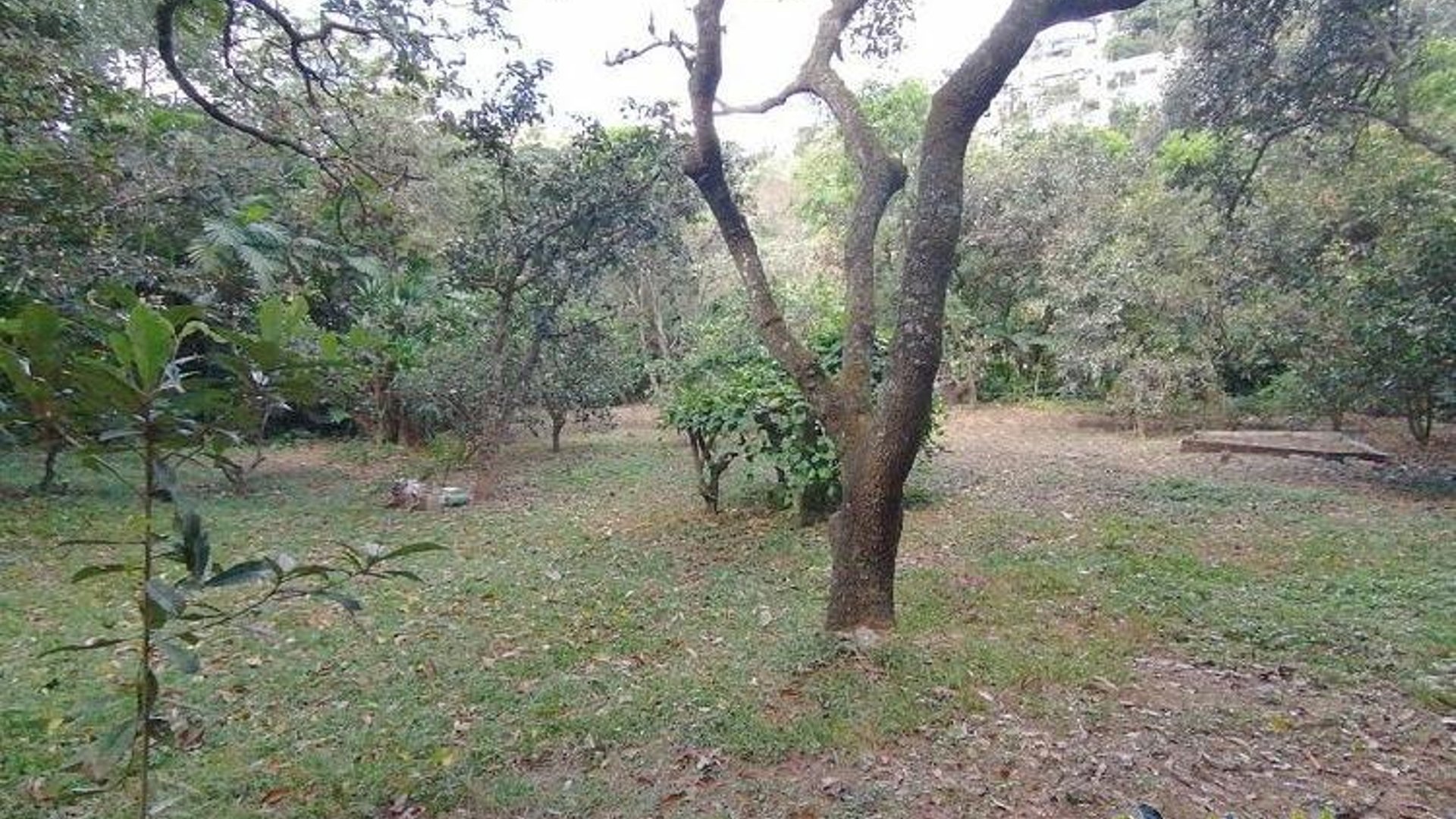 Terreno en Venta Zona 15 Guatemala, uso residencial
