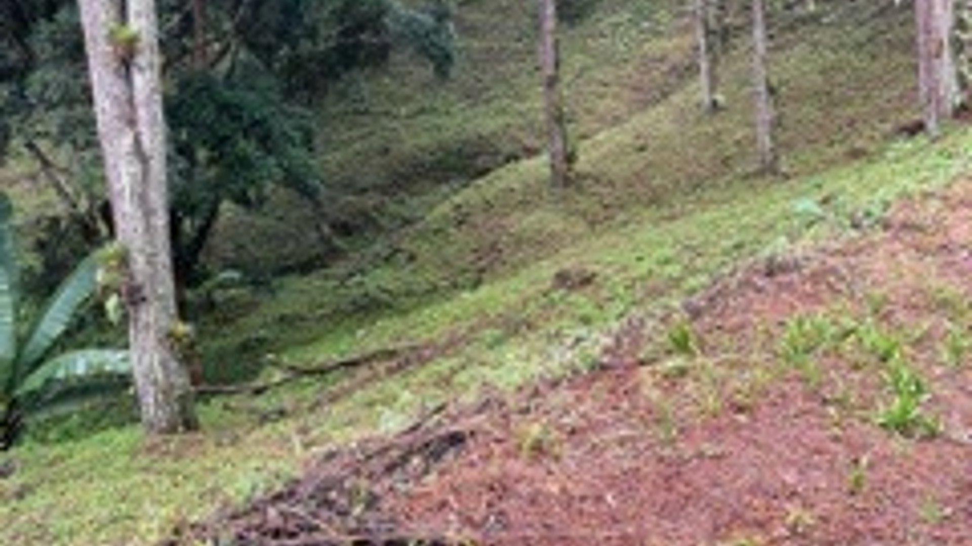 Terreno en VENTA en Muxbal, CES - Miniatura 8
