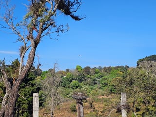 Terreno en Venta Carretera a El Salvador, Km.26 - 3