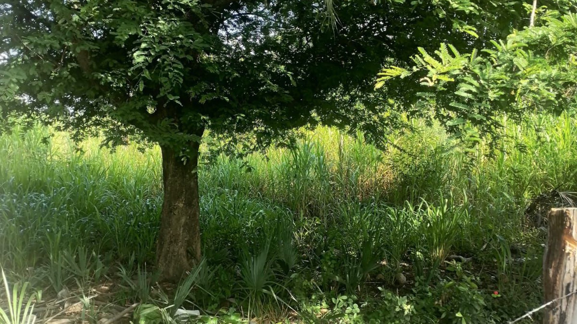 Terreno en venta en Aldea Juan Ponce Zacapa - Miniatura 13