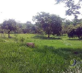 Terreno en Venta en Km 117 Carretera a Taxisco
