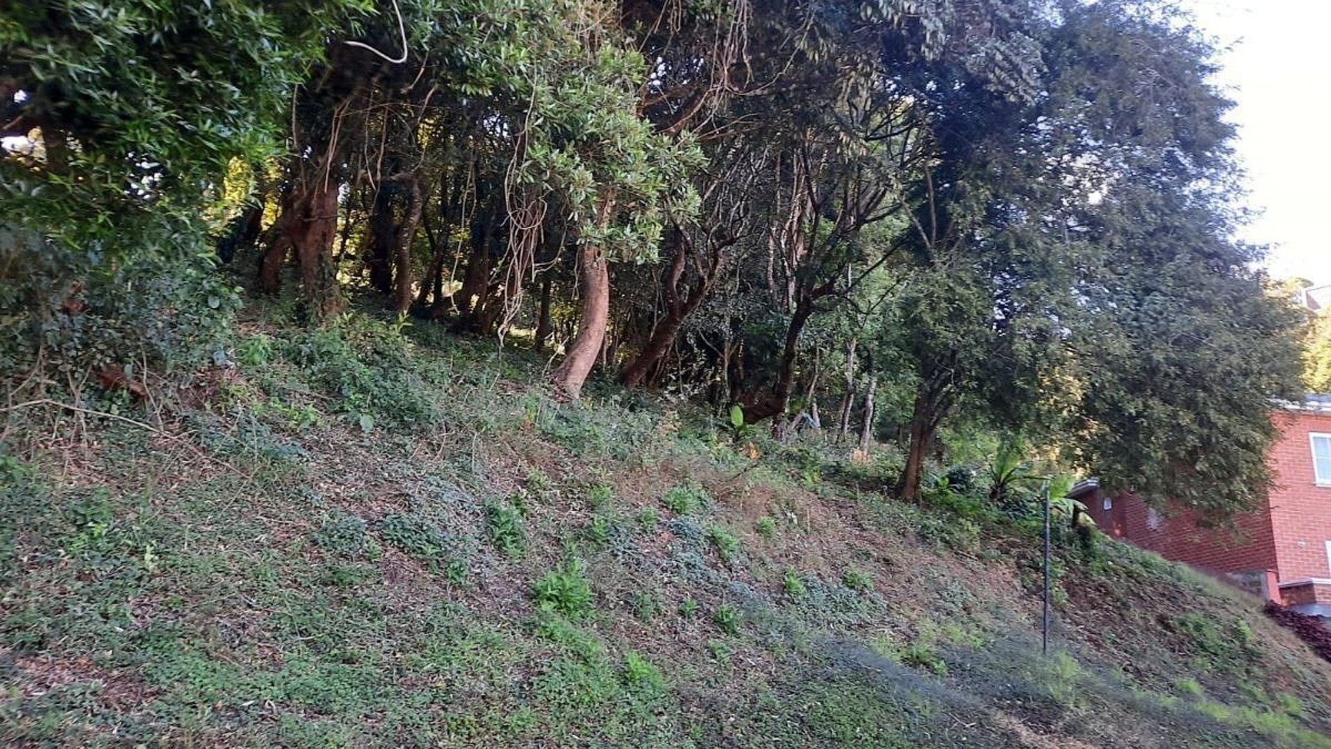 TERRENO GRANDE EN VENTA EN CONDOMINIO COLINAS DE CASTEL‼️ - Miniatura 3