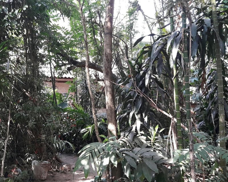 TERRENOS DENTRO DEL CASCO DE ANTIGUA