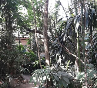 TERRENOS DENTRO DEL CASCO DE ANTIGUA