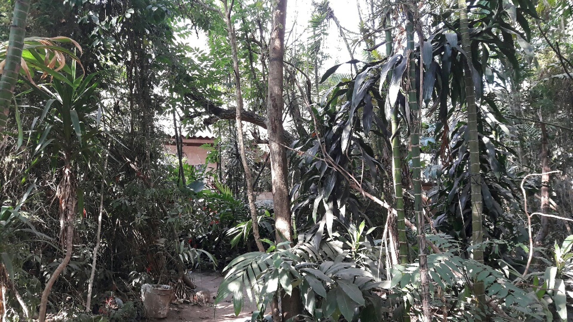 TERRENOS DENTRO DEL CASCO DE ANTIGUA