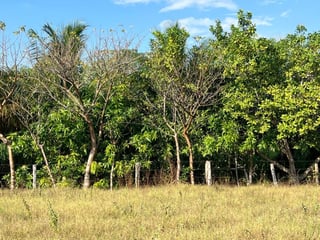 Terreno comercial en venta Monterrico - 3