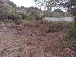 Terreno en Venta Granjas Praderas del Bambú - 4
