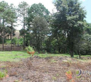 TERRENO EN VENTA EN SANTA MARIA CAUQUE
