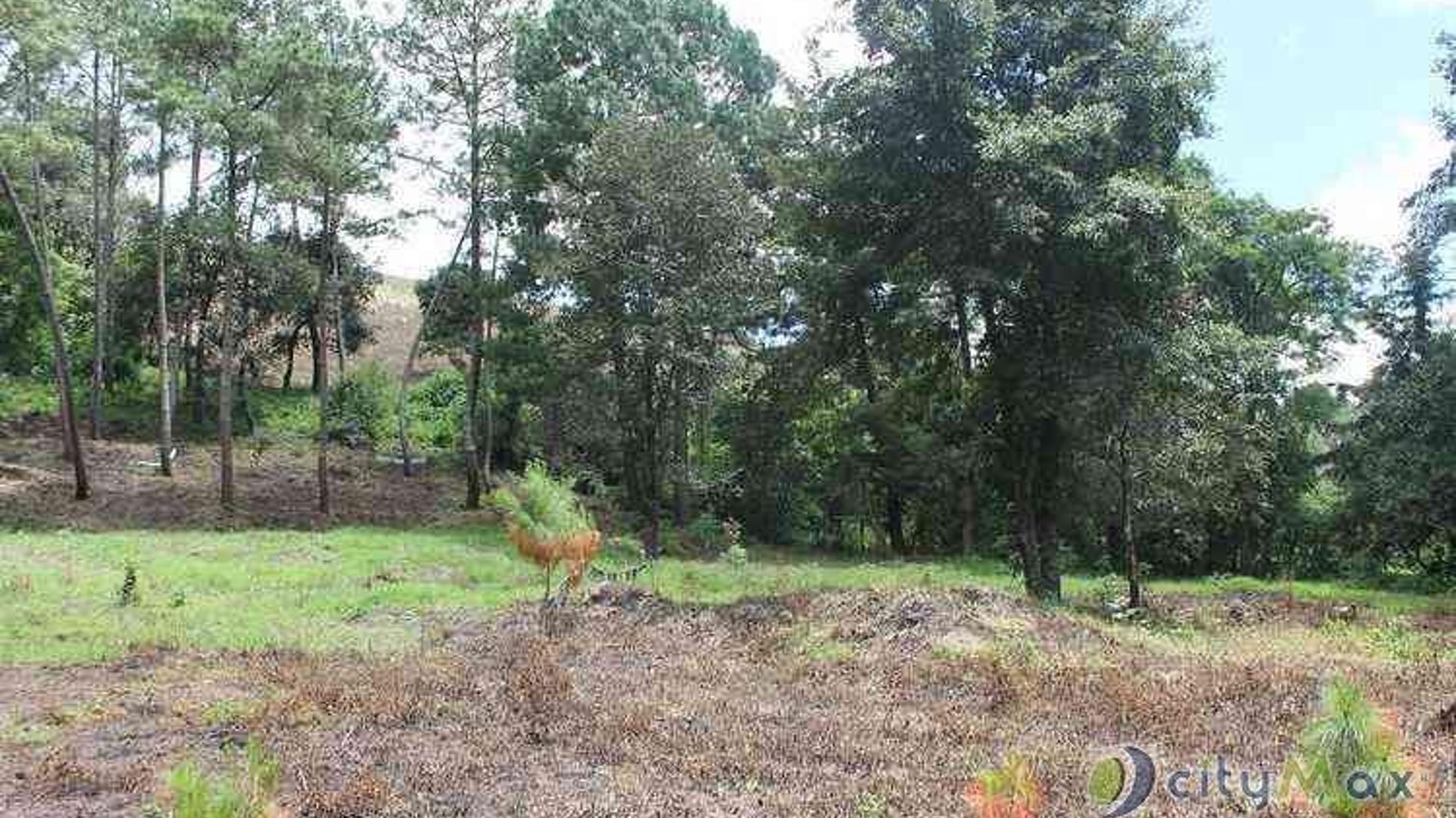 TERRENO EN VENTA EN SANTA MARIA CAUQUE
