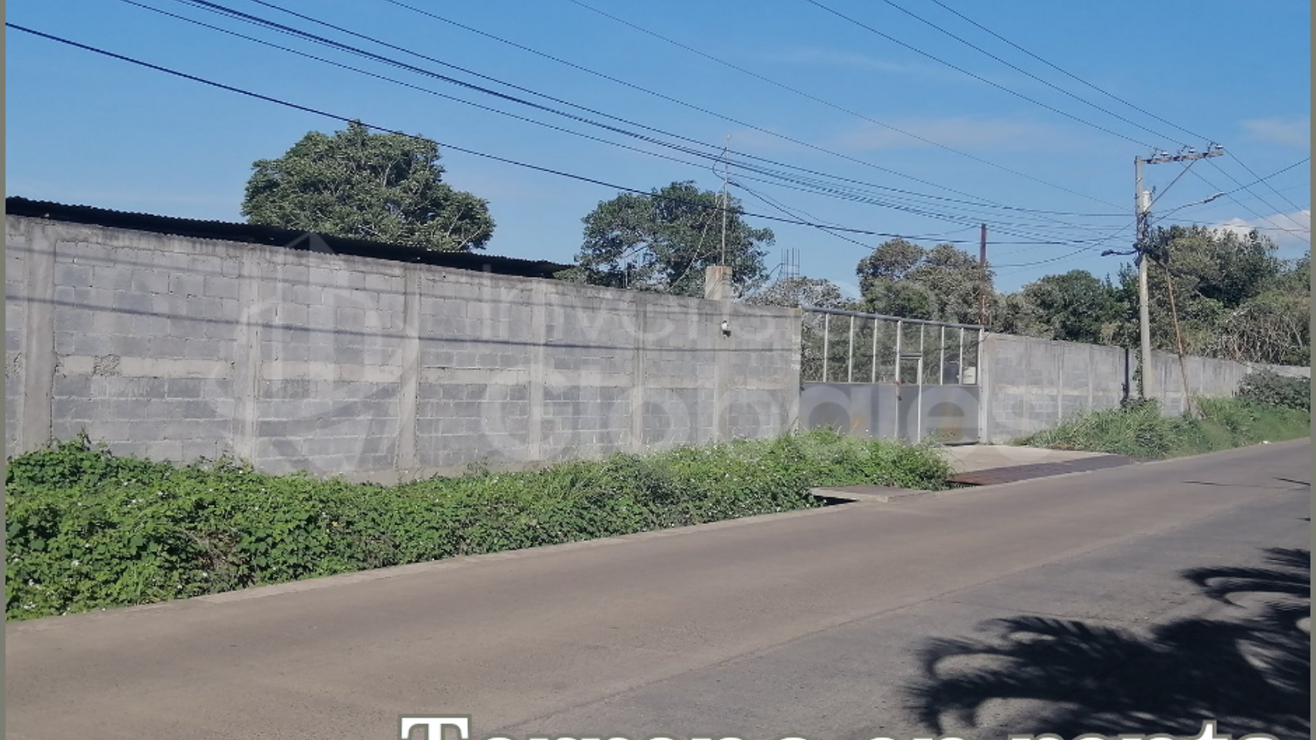 Terreno en Renta o Venta, Palin Escuintla