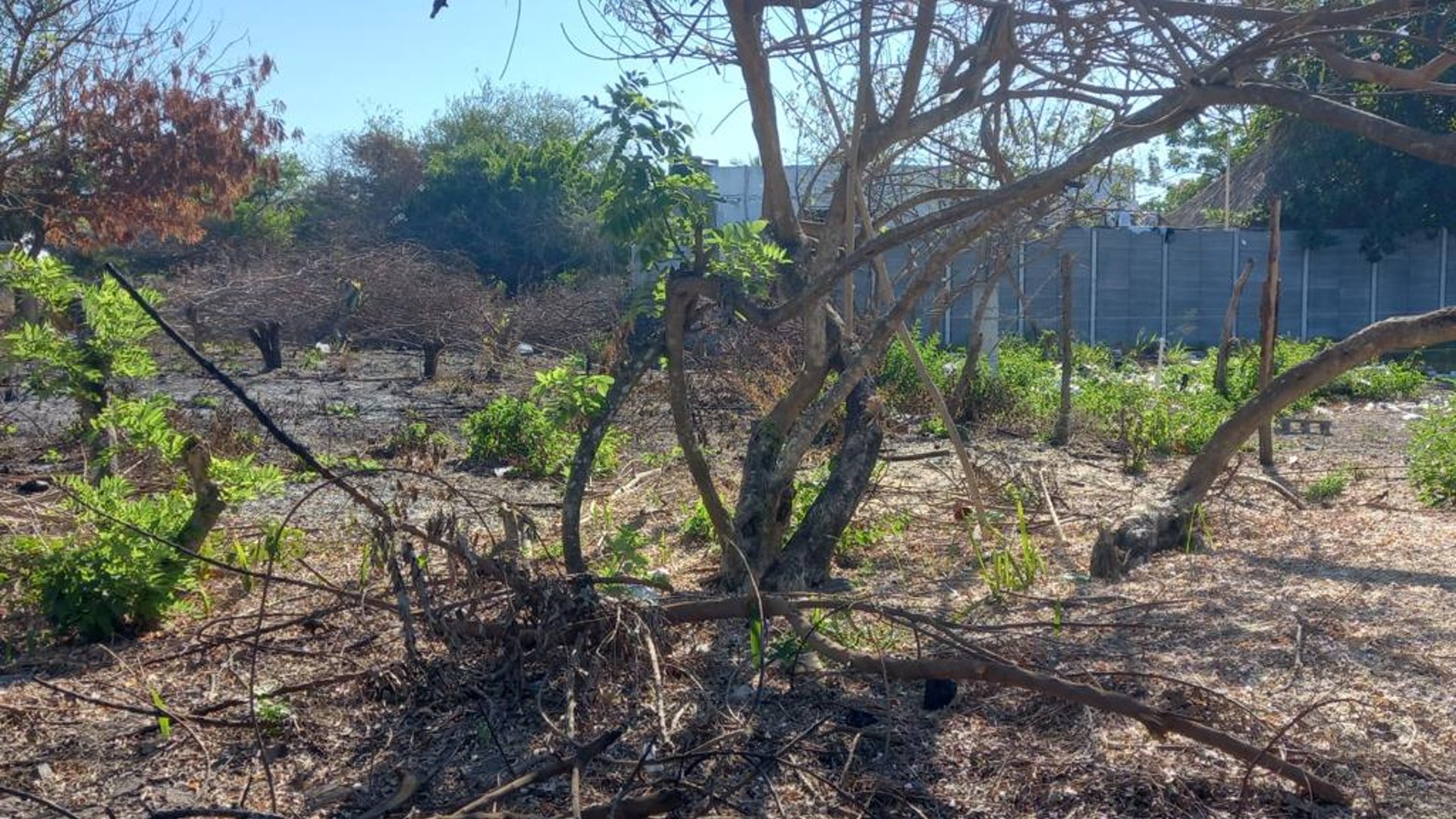 Terreno en venta camino a Monterrico - Miniatura 12