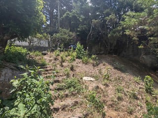 Terreno en venta Santa Elena Barillas Guatemala - Image 6