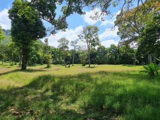 Terreno en venta para desarrollo de casas en Santa Elena Barillas – atrás del Rincón de la Finca - 2