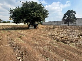Terreno de 6,816 m² en Venta en San Miguel Petapa, Guatemala - 3