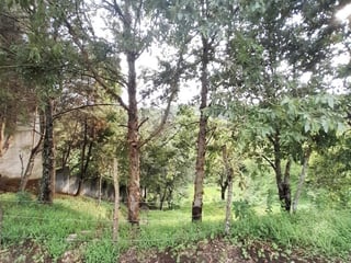 Lote en venta, Sausalito Fraijanes Km. 19.8 - 3