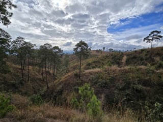 Terreno en Venta San Pedro Sacatepéquez, Guatemala - 4