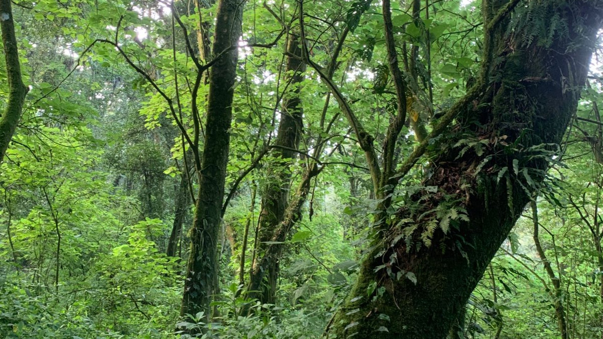 Terreno en Venta en Aldea El Hato Antigua Guatemala, Sacatepequez - Miniatura 8