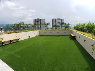 Apartamento en Renta en Zona 15 - 4