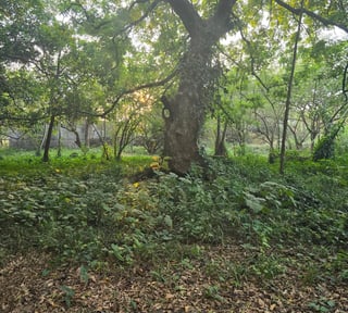 TERRENO EN VILLAS CLUB SAN JOAQUIN ESCUINTLA
