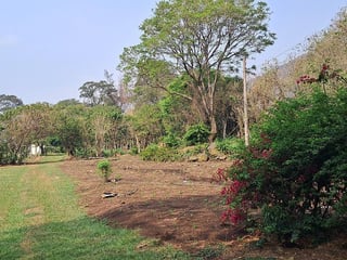 Terreno en ALQUILER entre Palin y Amatitlan - 4