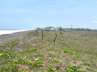 Terreno en Venta Frente al Mar en Sipacate, Escuintla - 5