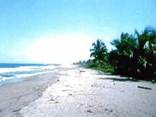 Finca Rustica en venta a la orilla de la Bahia La Graciosa - 4