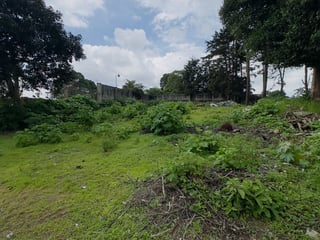 Terreno en ALQUILER en Carretera a El Salvador - Image 8