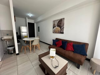 APARTAMENTO EN EDIFICIO ALTEA UNO ZONA 1 - 5