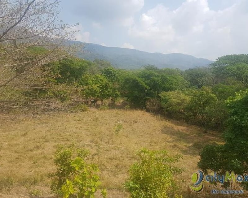 Vendo Finca de 8.8 mazanas en Oratorio, Santa Rosa