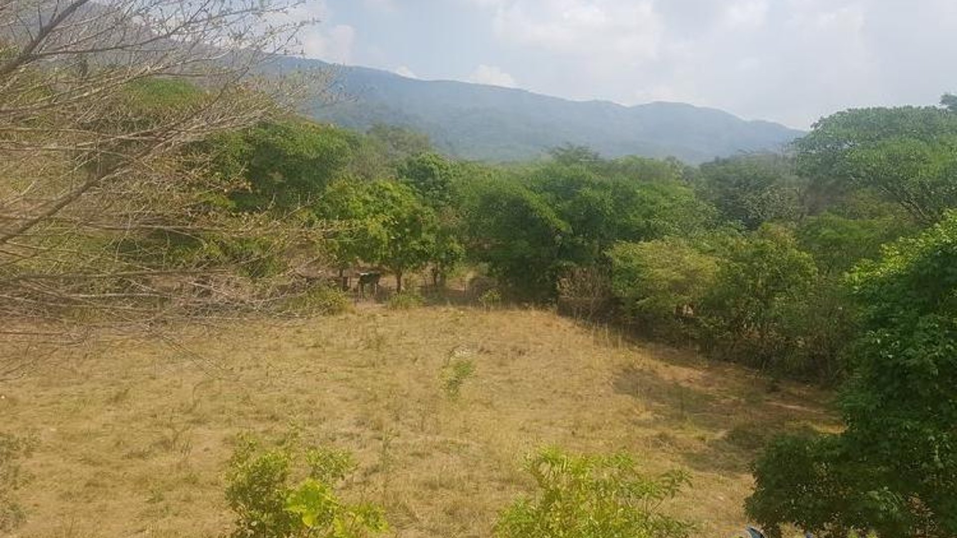 Vendo Finca de 8.8 mazanas en Oratorio, Santa Rosa