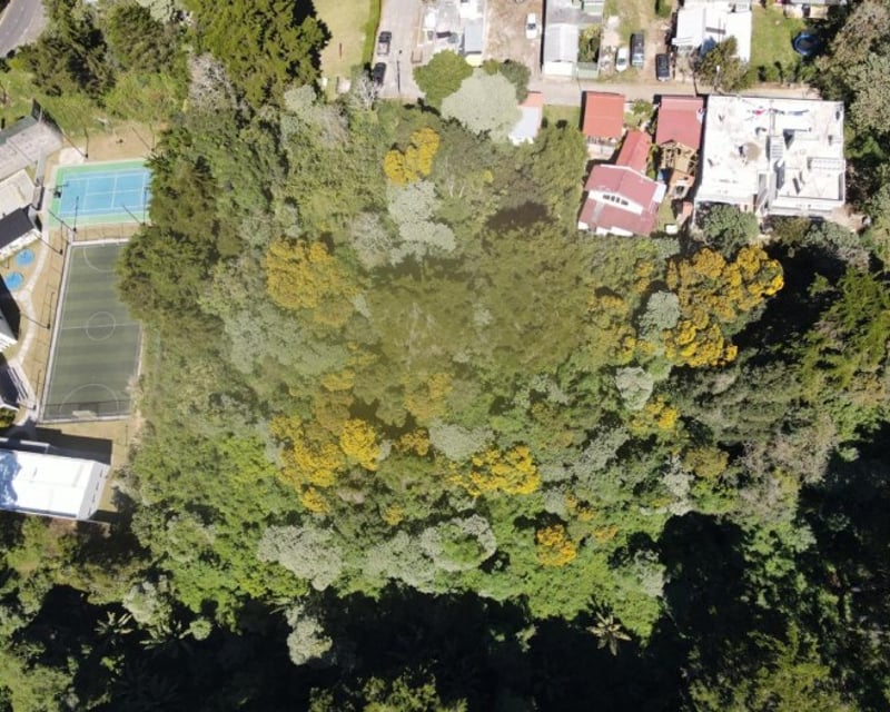 TERRENO EN VENTA EN KM. 15.5 CARRETERA AL SALVADOR.