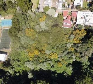 TERRENO EN VENTA EN KM. 15.5 CARRETERA AL SALVADOR.