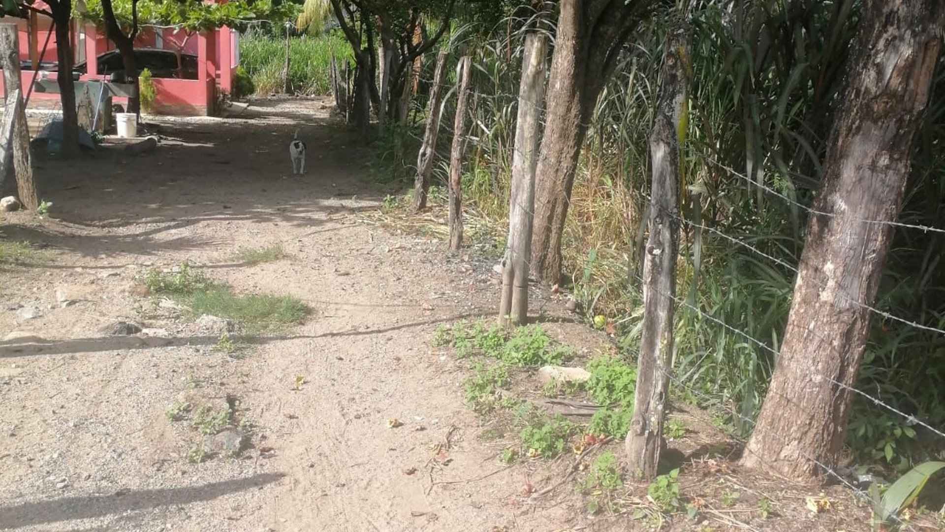 Terreno en venta en Aldea Juan Ponce Zacapa - Miniatura 6