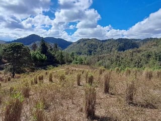 Finca en VENTA en San Pedro Ayampuc - Image 8