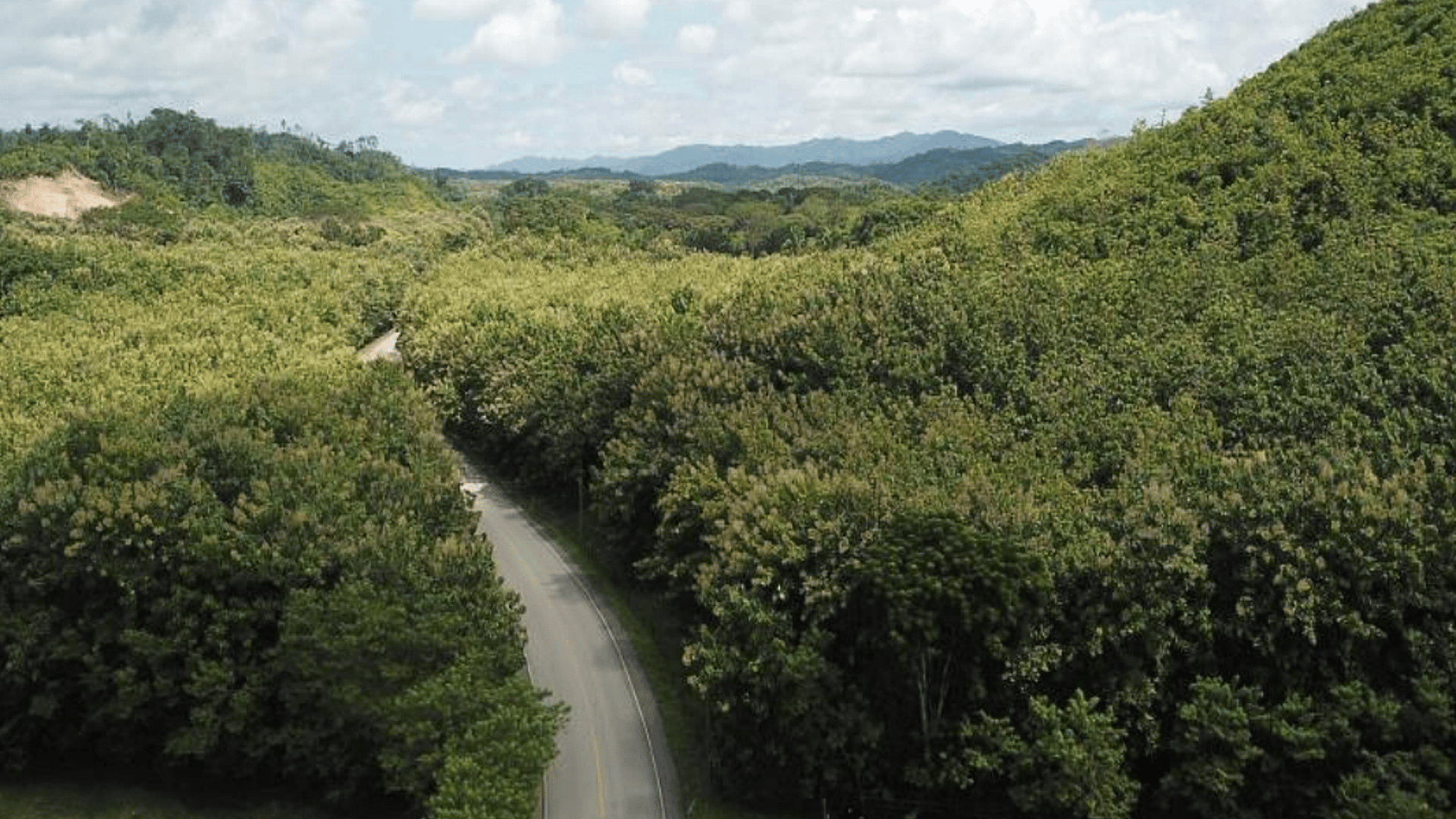 Finca en VENTA en  Municipio Nuevo Chahal, Alta Verapaz - Miniatura 2