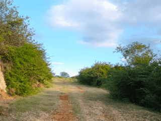 Terrenos en Venta en San Agustín Acasaguastlán, El Progreso - 3