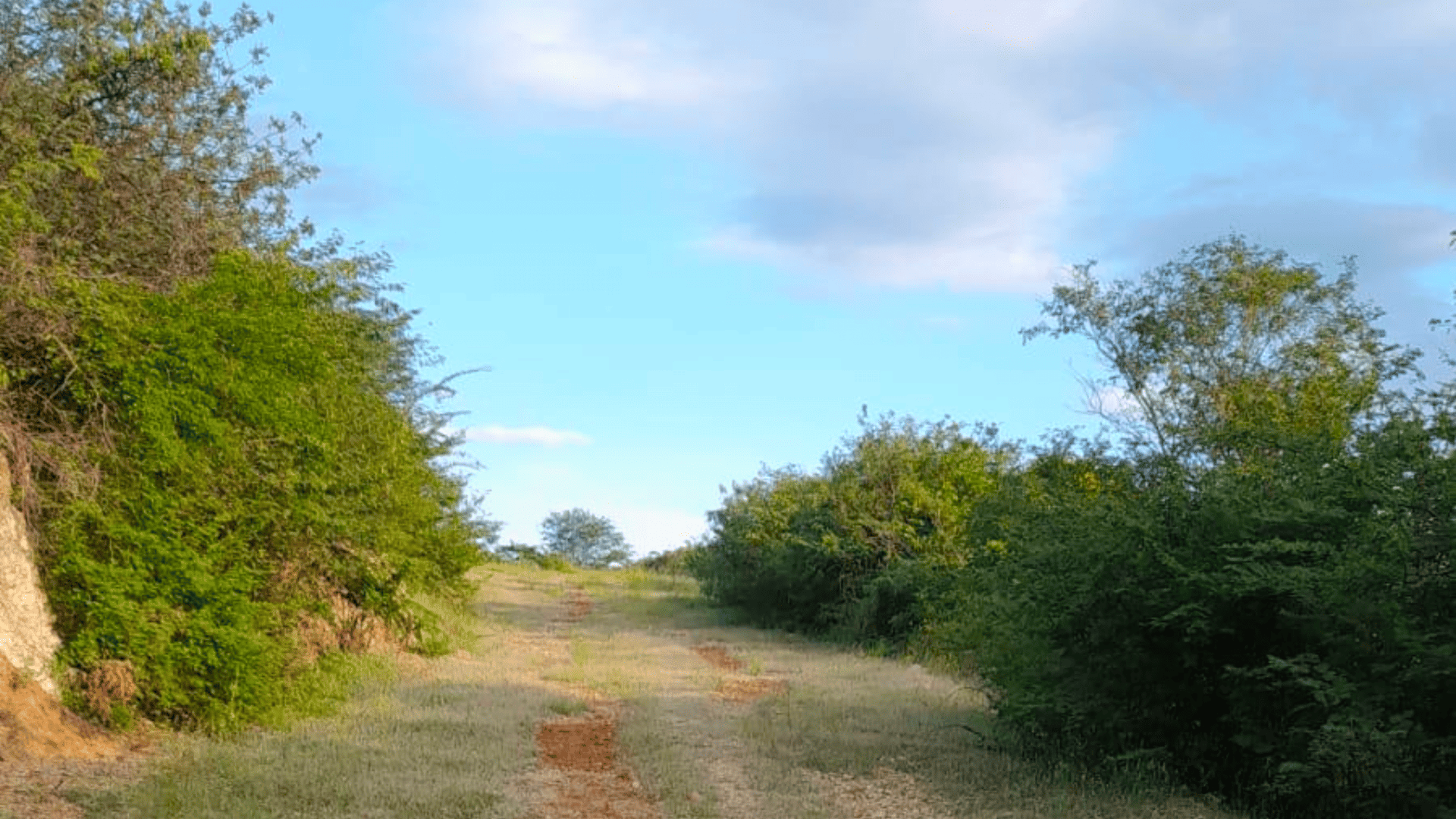 Terrenos en Venta en San Agustín Acasaguastlán, El Progreso - Miniatura 3