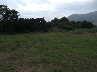 TERENO EN VENTA EN AMATITLAN - 4