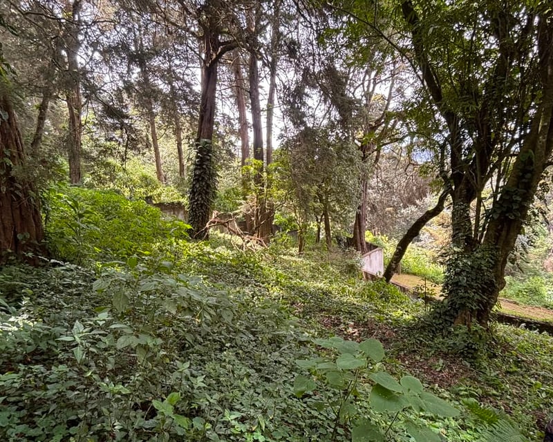 Lote en Venta, Granjas Jardín El Alto, Santiago Sac.  NUEVO PRECIO