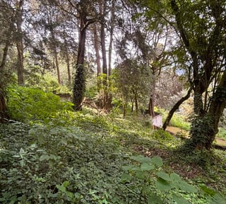 Lote en Venta, Granjas Jardín El Alto, Santiago Sac.  NUEVO PRECIO