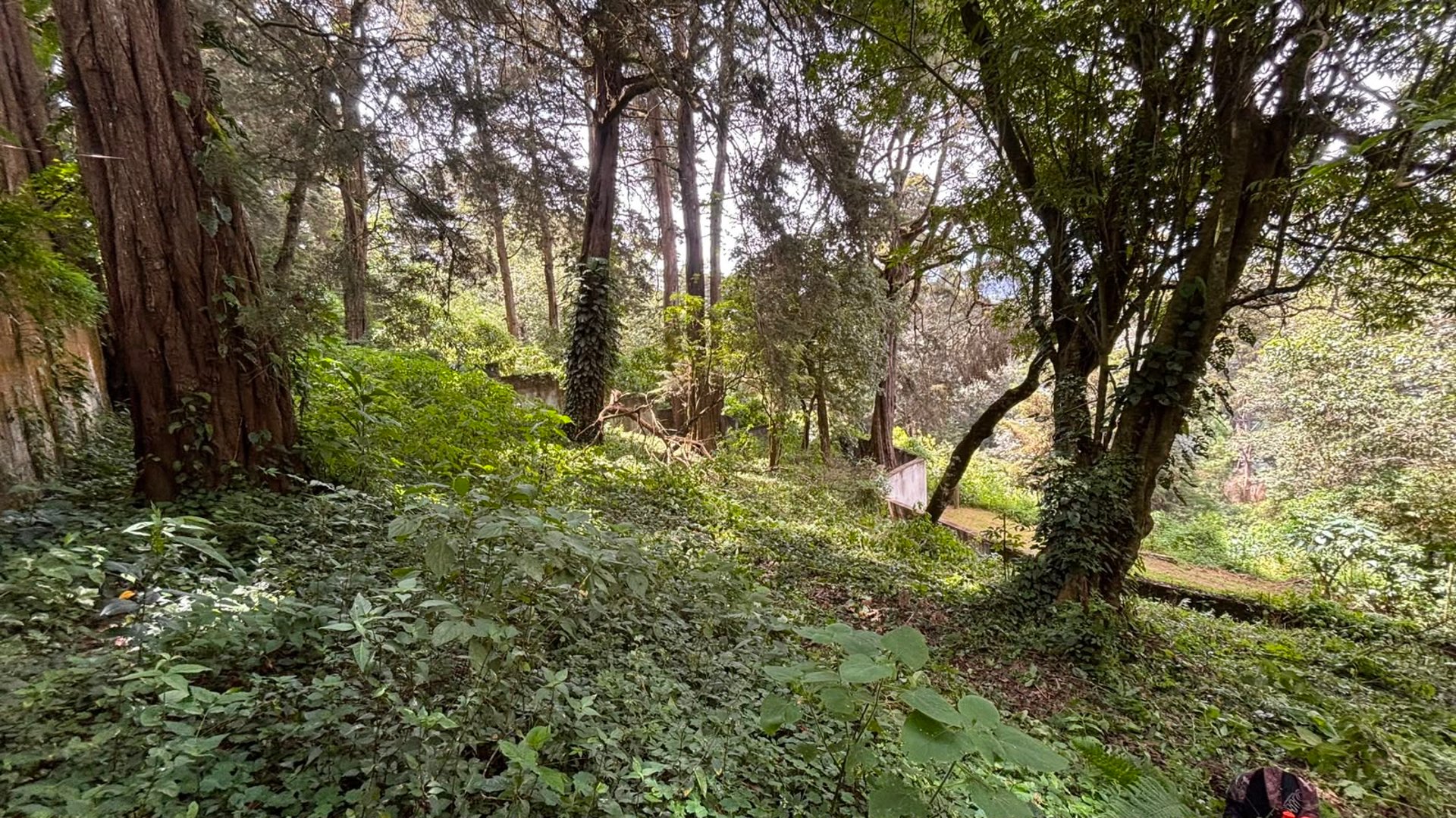 Lote en Venta, Granjas Jardín El Alto, Santiago Sac.  NUEVO PRECIO