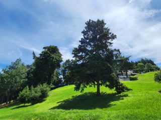 Casa en Venta Villas El Renacer San José Pinula CES - Image 7