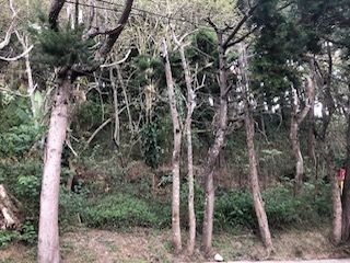 Terreno en VENTA en Muxbal, CES - 2