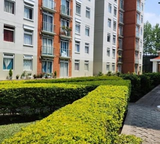 Vendo  Apartamento, Edificio en Barrio Candelaria Z1
