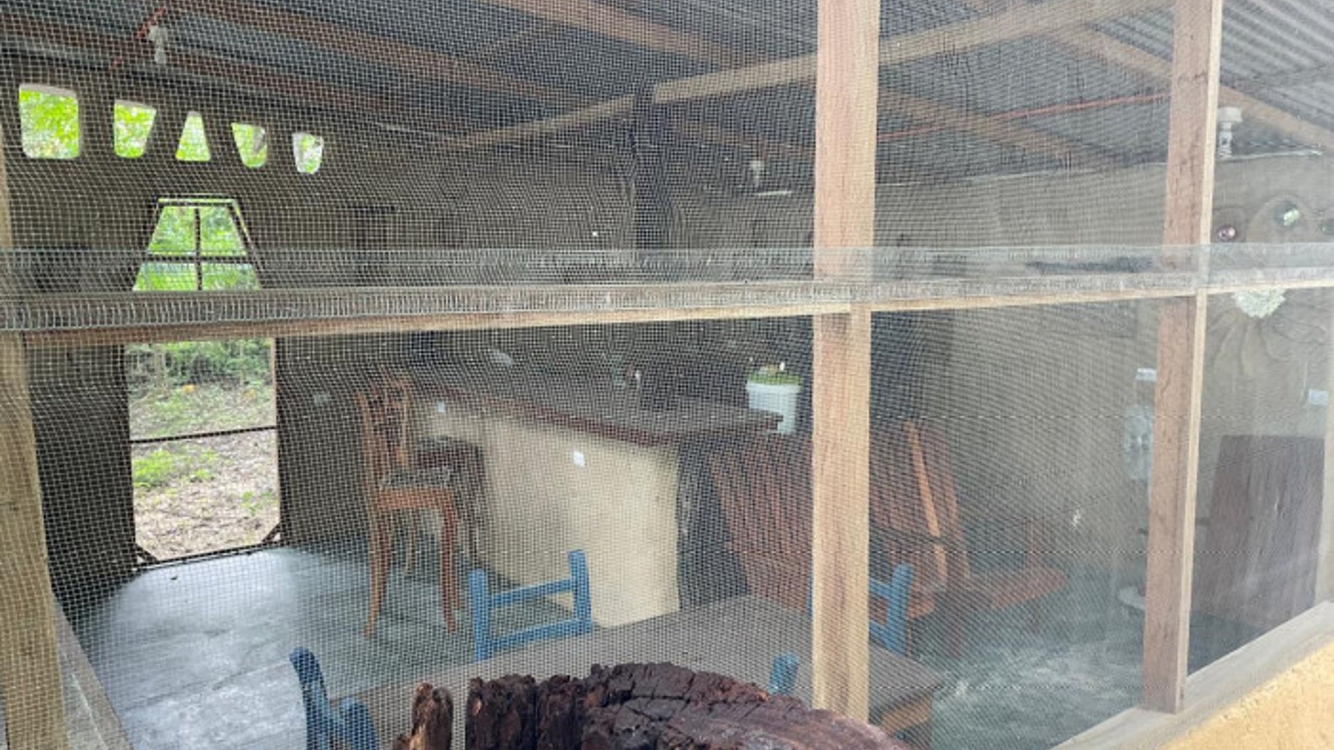 Terreno en Venta El Remate Flores Peten - Miniatura 5