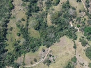 Terreno en Venta Aldea Xayá, Santa Lucía Cotzumalguapa - 2