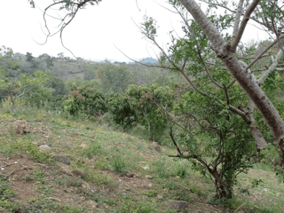 Terreno en Venta en Palencia, Guatemala - 5